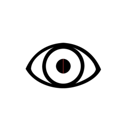 Envision1