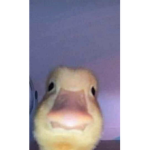 CYB3RT4NK