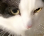 Melanypoopiepants