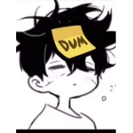 The dum friends