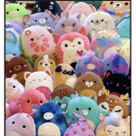 .*Squishmallow fan group