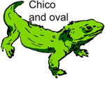 chico and oval squad