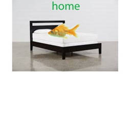 home