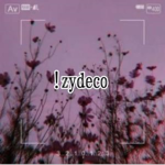 !zydeco