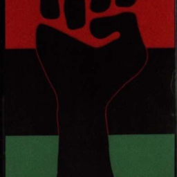 rbg flag