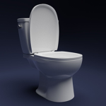 The Toilet