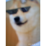 De meme family