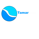 Tamar ferries