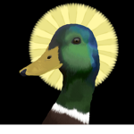 WheresMyDuucks FanGroup