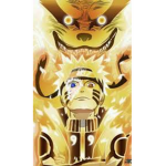 The gods of god