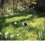 floralbliss