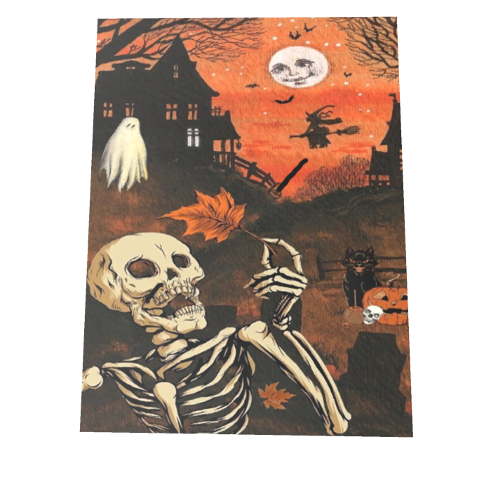 Halloween Skeleton Spooky Cape