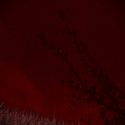 HOME IS WHERE THE HEART DIES