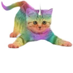 We are amazing by being caticorns!