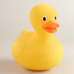 dark duck