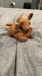 Nick’s Dynamic Clothing