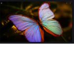 Pretty butterfliessss