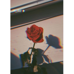 Laceypooh9