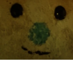 Bear icon