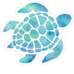 turtle are awesome