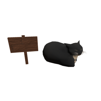Maxwell the Cat!