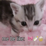 KittyKlub !!