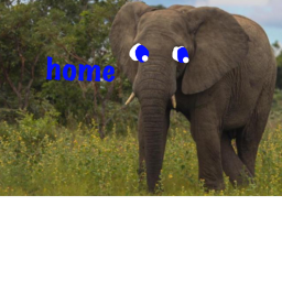 🐘Home!🐘