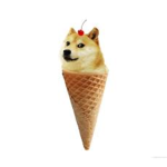 Doge Cone Group