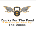 Ducks for the pond