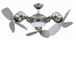 The Fans Arise