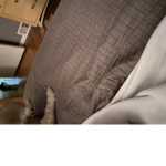 Parker_