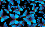 Butterflya Hotels And Resorts