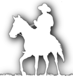 3. Mechanized Regiment