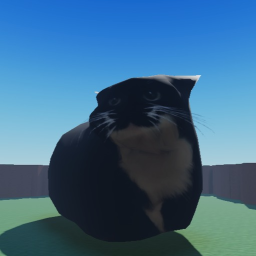 look at maxwell the cat