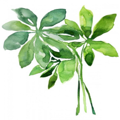 leaves painting Roblox decal
