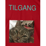 TIL GANG