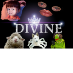 Divine and random 737