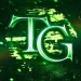 [ToEH, ToTCR] Tower Game icon