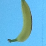 Banana army official group :)