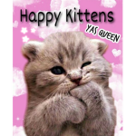 -Happy Kittens-