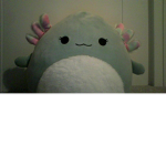 i like squishmallows!
