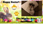 The Mischa Army
