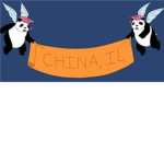University of China Ilinois