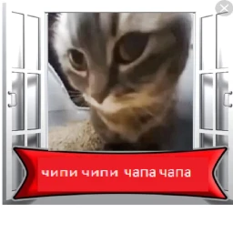 чипи чипи чапа чапа icon