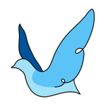 Cyanocitta Health Network