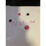 Not world