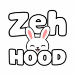 zehh access