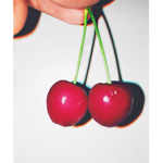 bri’s fruit basket