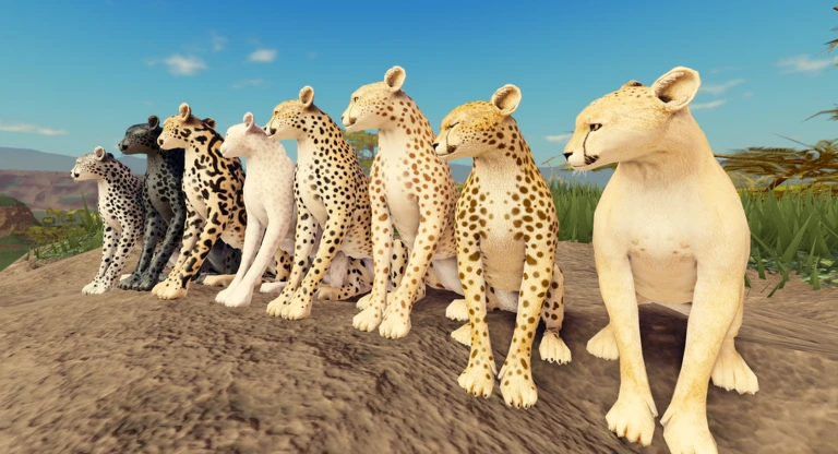 Cheetah Update