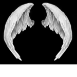 [SAO]White Wings)